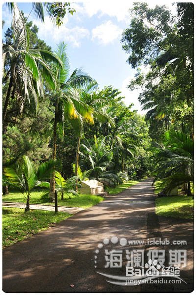 毛里求斯最佳的海岛游
