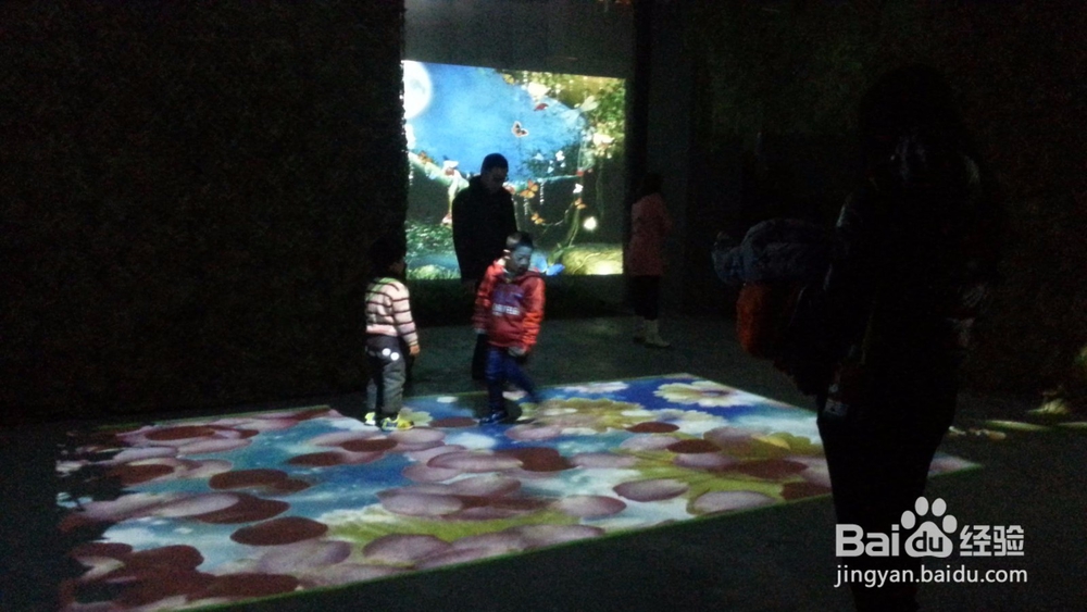 星际森林奇幻之旅的游玩攻略