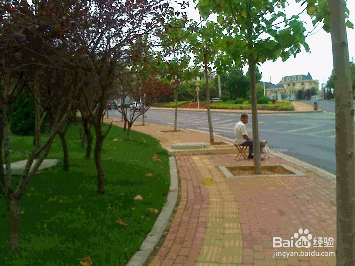 人外出怎样安全行走