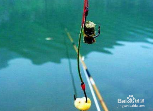 钓鱼过程中不可犯的那些错误