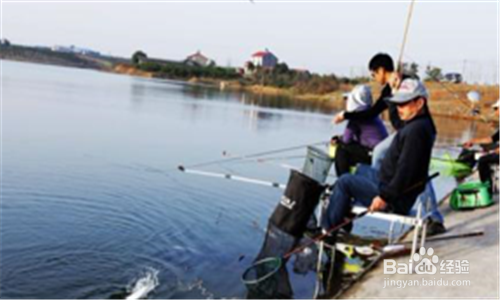 春季钓鱼怎么选钓点