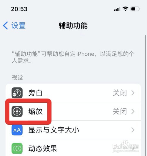 苹果手机如何调整缩放控制器不透明度
