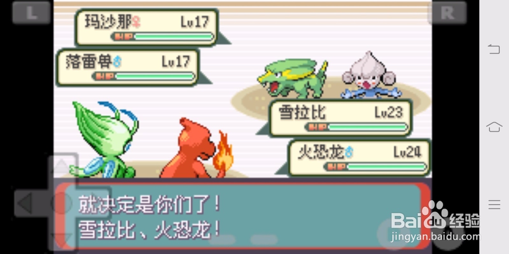 宝可梦绿宝石紫堇市道馆攻略