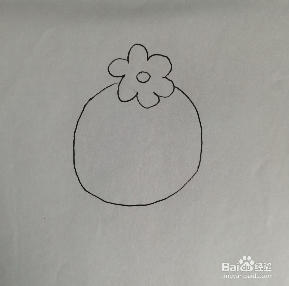 如何画一个开花的仙人球简笔画