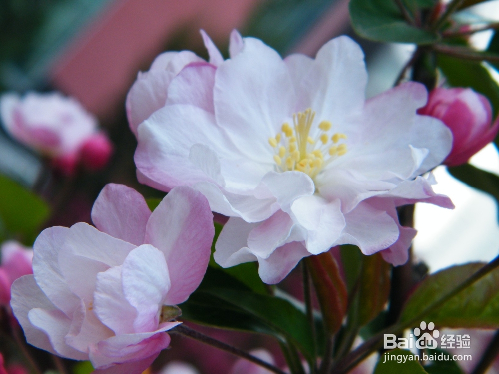 如何在职场和同事相处