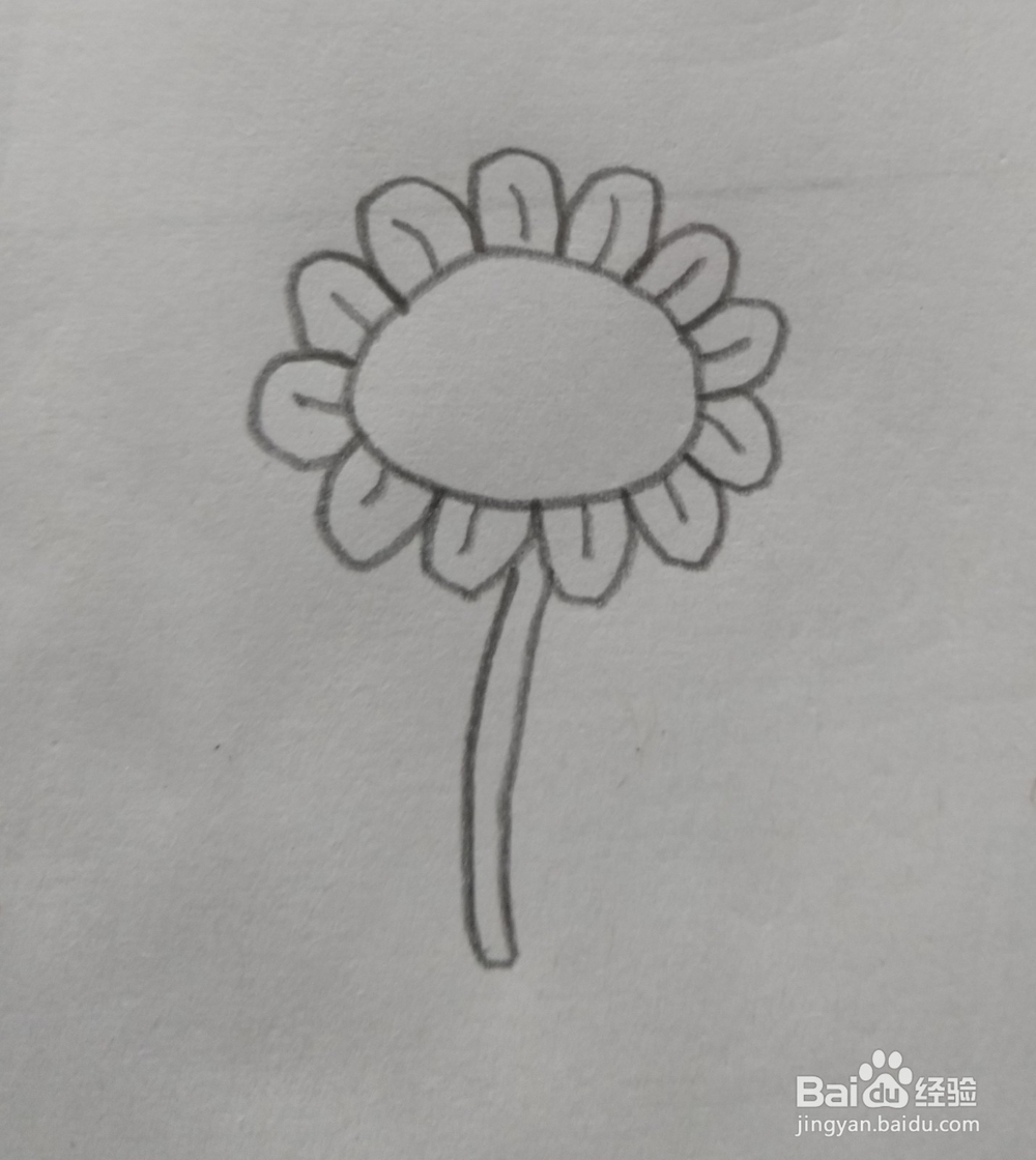 简笔画向日葵画法五