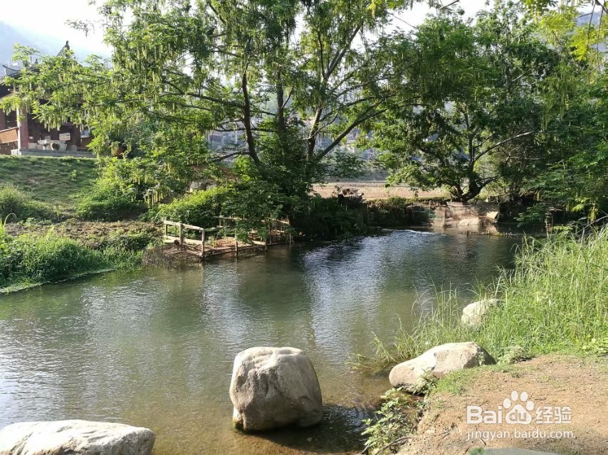 世外桃源—坝美旅游攻略