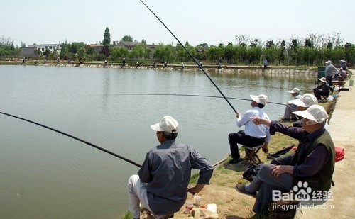 夏天怎样快速钓到鱼
