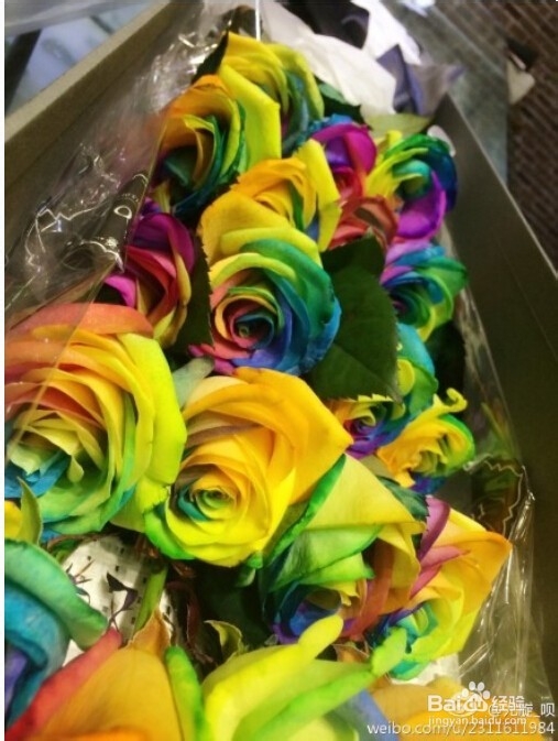 女生过生日最希望收到什么礼物