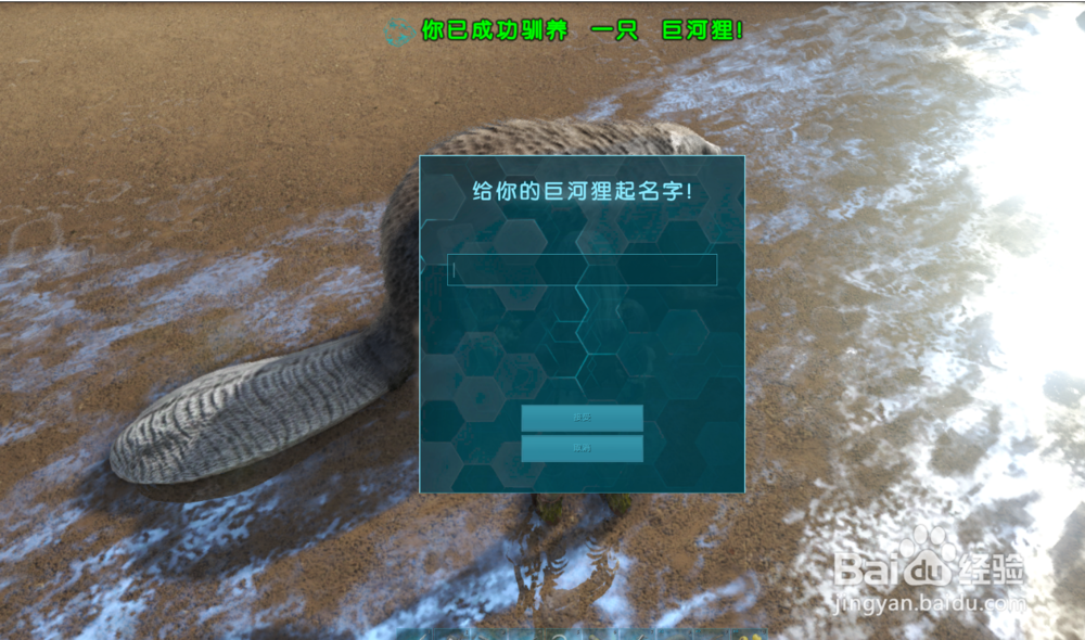 方舟河狸怎么驯服