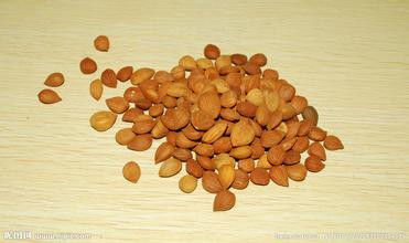 哪些干果可以通便