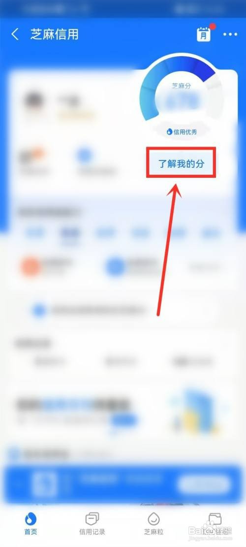 支付宝信誉积分在哪才能看