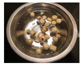 补气养血营养粥