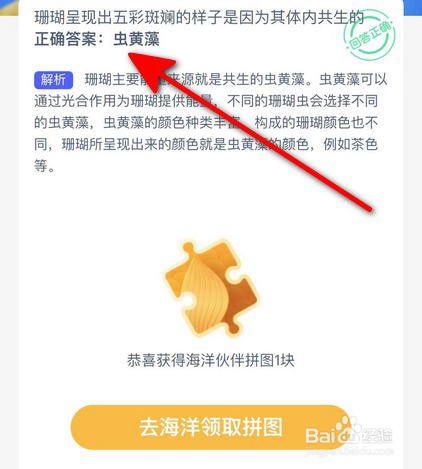 神奇海洋瑚呈现出五彩斑斓的样子是因为体内共生