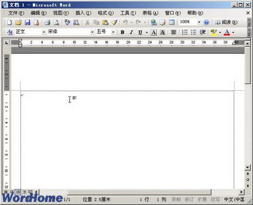怎样在Word2003中创建空白文档