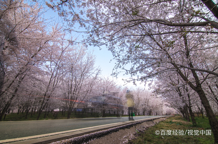 平坝有什么好玩的景点