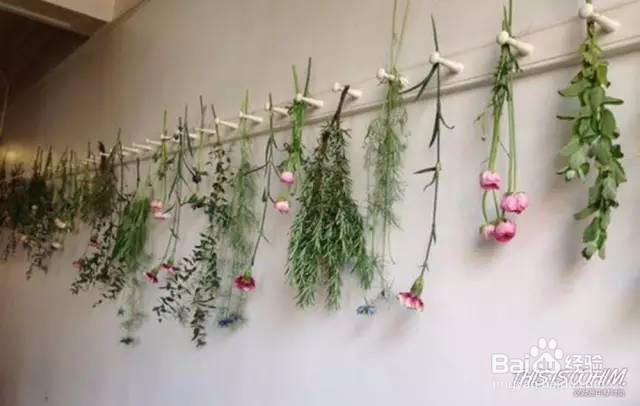 如何用花艺绿植搭配软装空间