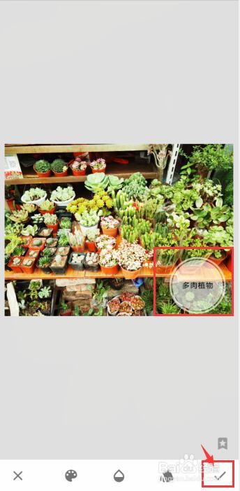Snapseed怎么给照片添加文字