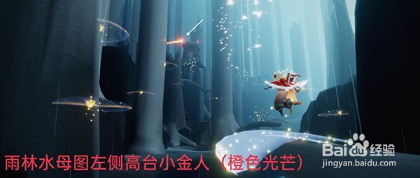 光遇11.22每日任务如何完成