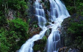 怎么去爬五指山