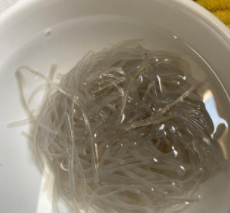 如何做白菜炖粉条