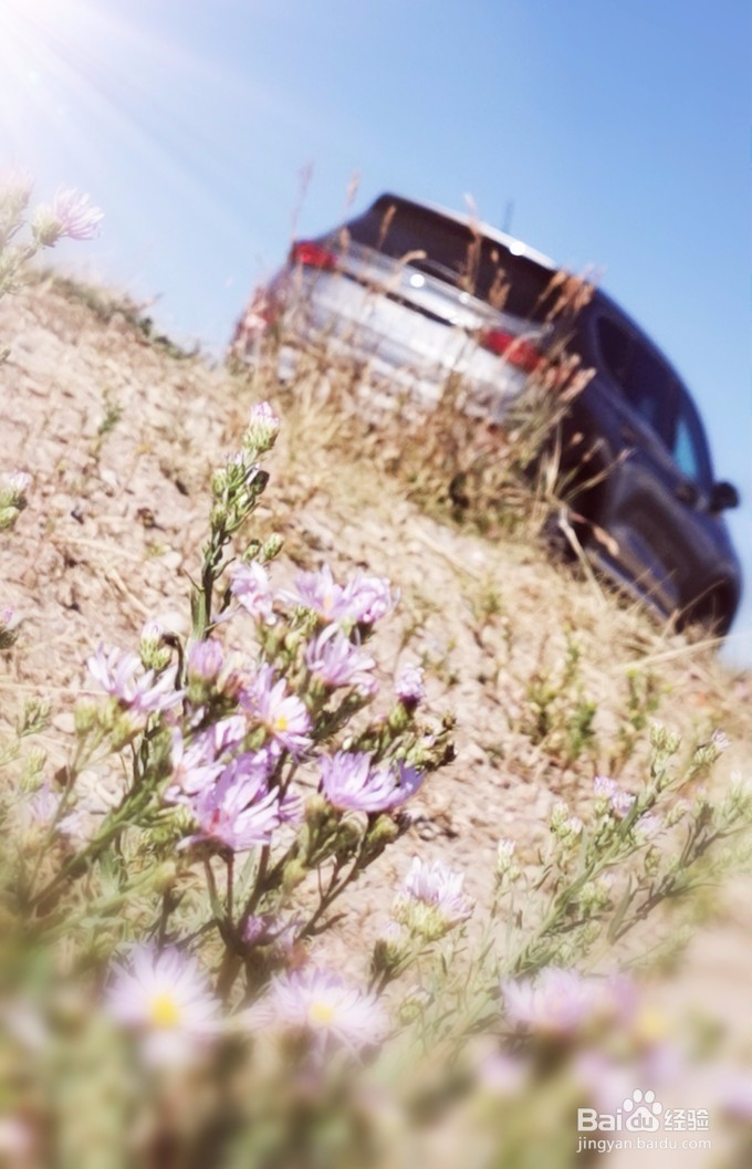 美国旅游攻略 车轮上的日子轻驾美西中的那些天