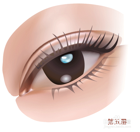 健康早知道——看五官