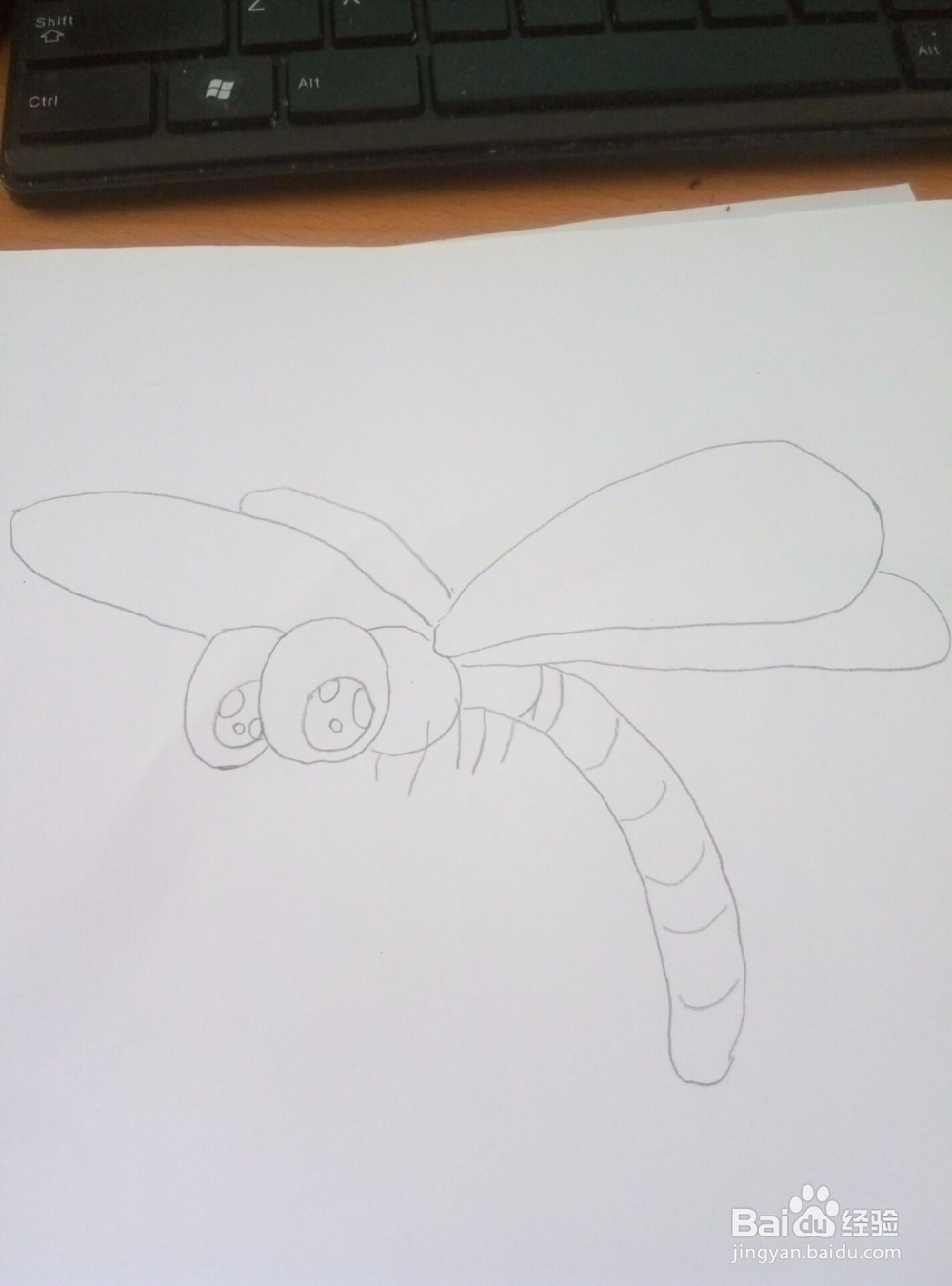 如何快速画一只蜻蜓