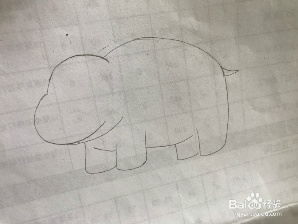 简笔画之大河马