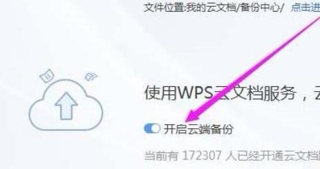 wps 校园版如何开启云端备份