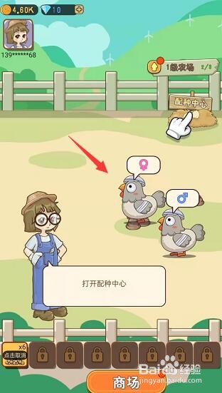 芦丁鸡换毛几次