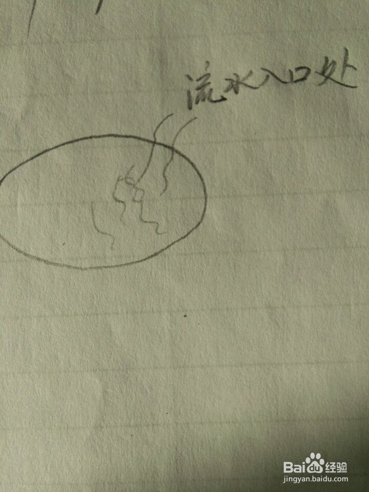 冬季如何才能钓到鱼