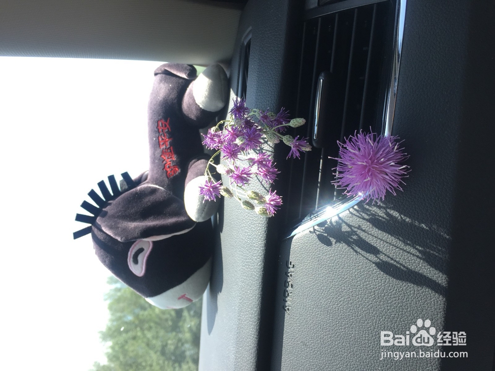 暑假内蒙七日游