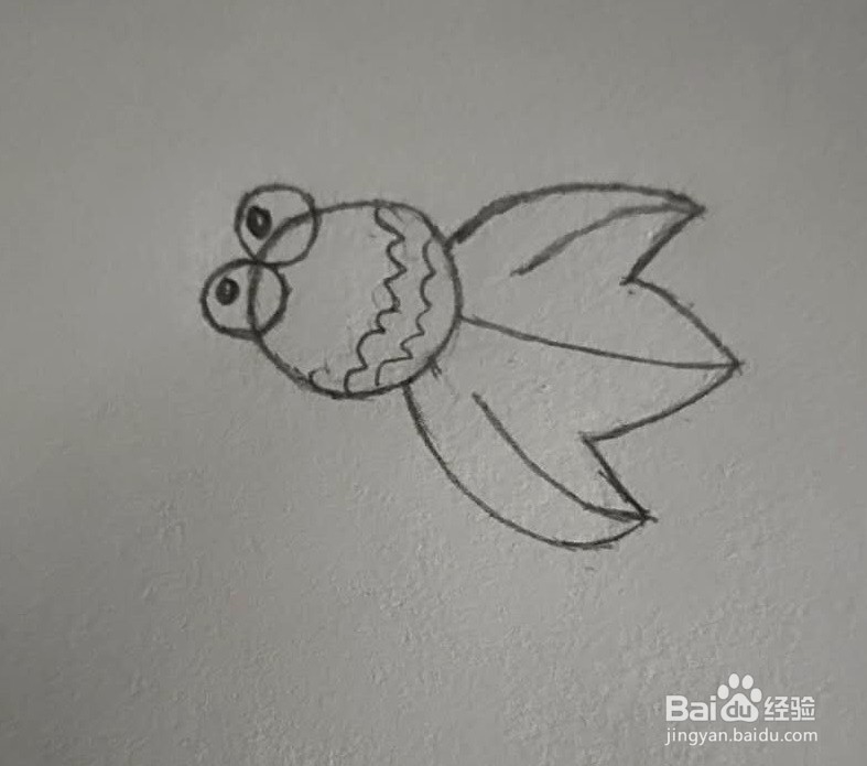 简笔画-怎么画可爱的金鱼