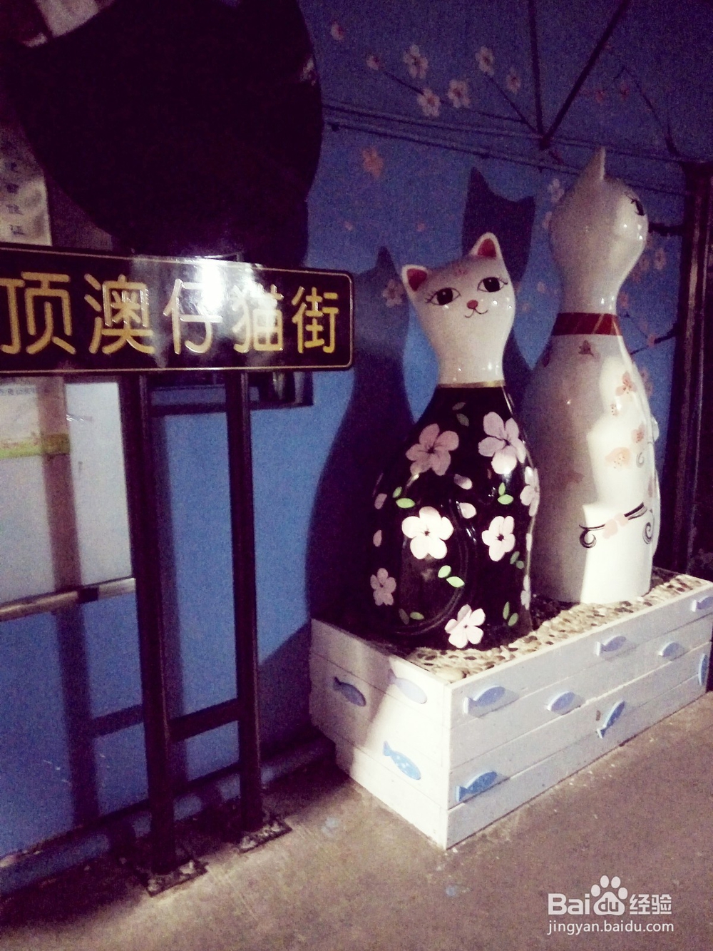 厦门猫咪博物馆