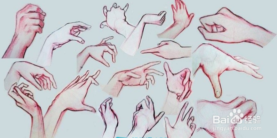 人体绘画中手的解剖结构-轻微课