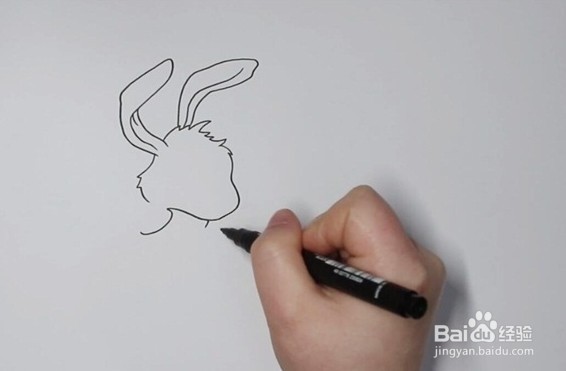 简笔画系列-怎么画小白兔和小灰兔简笔画