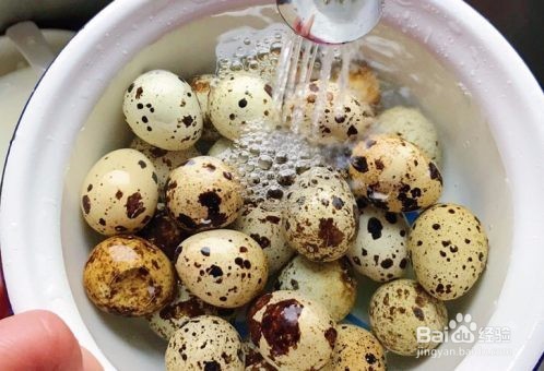 五香迷你茶叶蛋是如何做的怎么做好吃