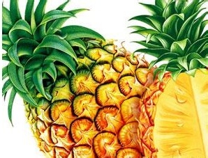 挑选菠萝的巧妙方法