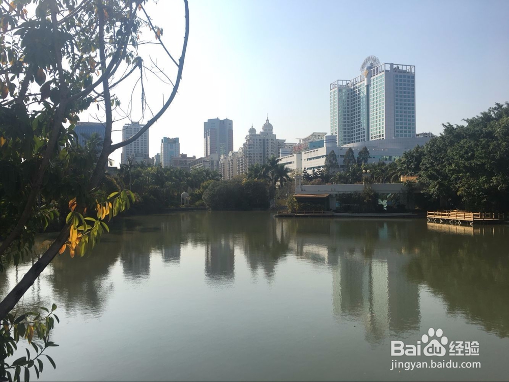 福州温泉公园花灯游