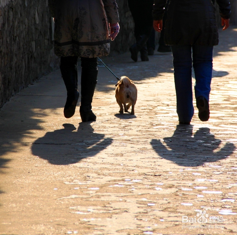 血糖为什么会控制不住