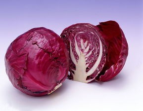 如何让自己的宝宝变得越来越聪明呢？