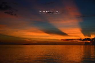 无聊时可以做哪些事情