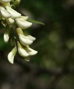 监理施工要点37
