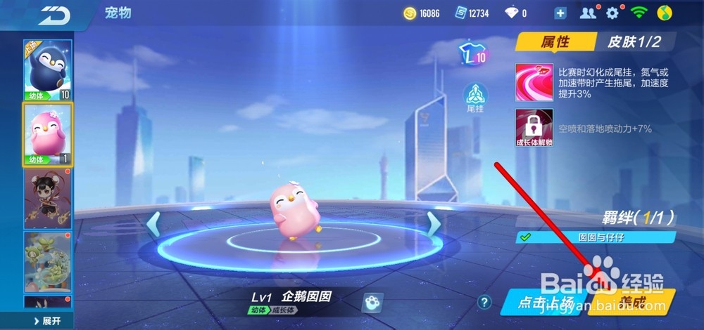 qq飞车手游怎么升级宠物等级