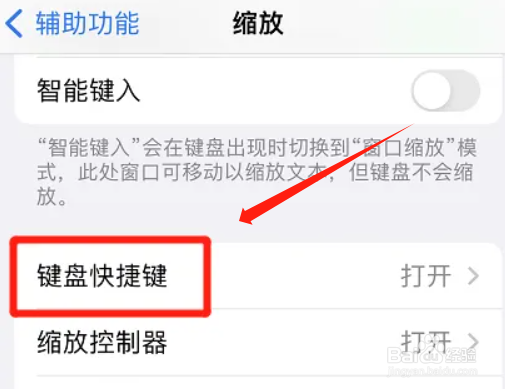 iphone怎么自动切换缩放区域