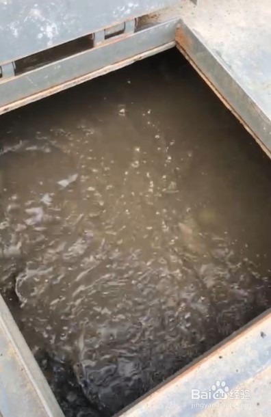 低温环境污水处理中氨氮超标投污水菌种可以吗