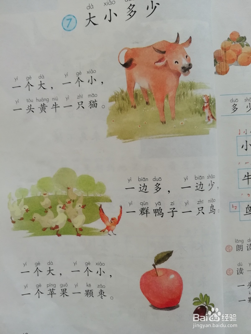 小学语文上册电脑中学习的方法