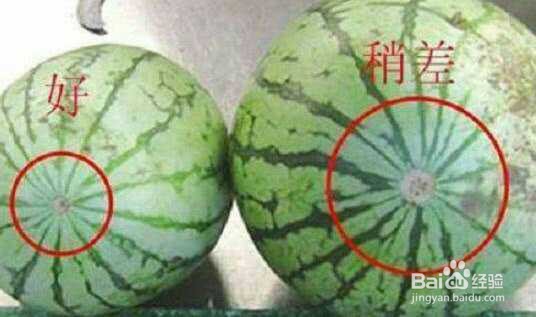 有什么方法才能保证挑的西瓜又大又甜