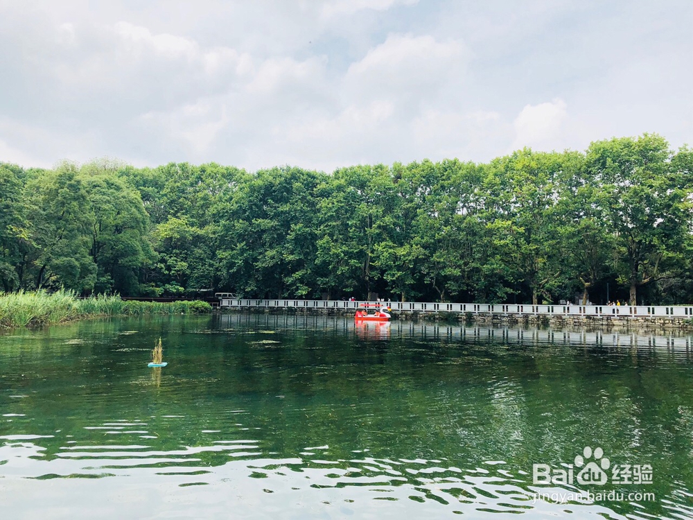 怎么才能找到贵州靠谱的旅游包车师傅?